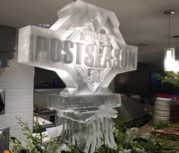 sport ice sculpture